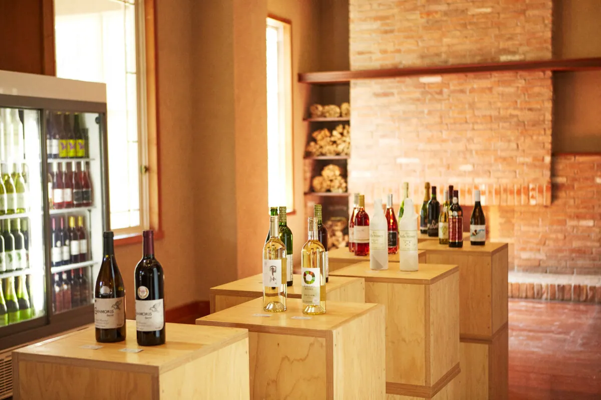 富士山、めちゃイケてるやん!体験型アドベンチャー施設FUJI GATEWAYやでの画像3
