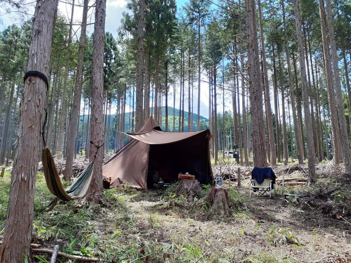 フォレンタ岐阜県東白川村で森林レンタルの自由なワイルドキャンプを募集開始!の画像5