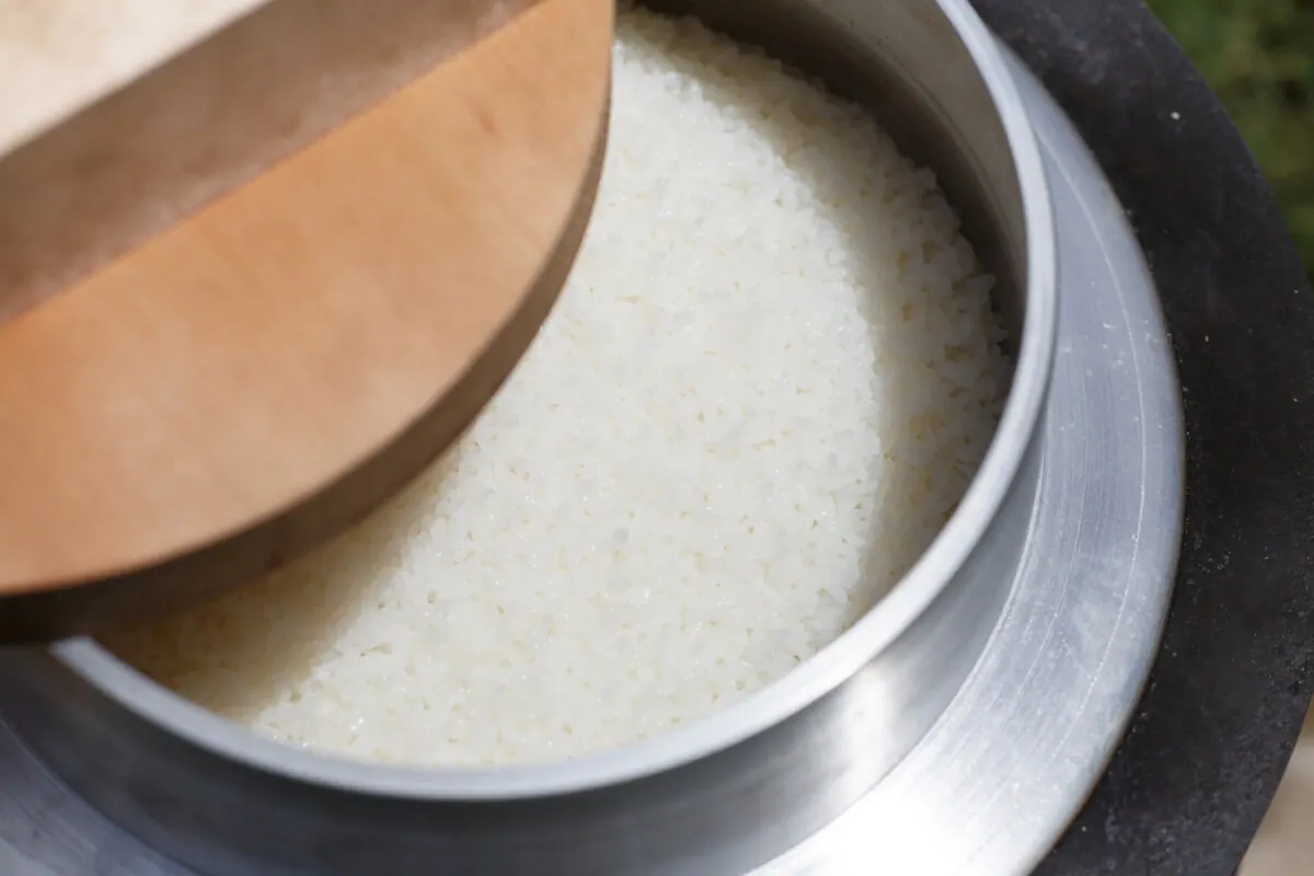 種まきから稲刈り、羽釜で炊いて食べるまでお米の一生を体験するお米の学校を実施|の画像4