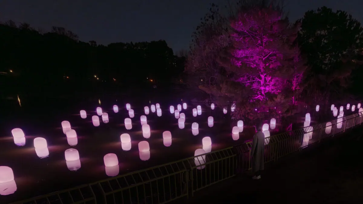 チームラボボタニカルガーデン 大阪で、一面のネモフィラが夜の植物園で光り輝く作品の画像3
