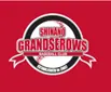 松坂大輔さんによる野球教室松坂大輔 Baseball Academy preseの画像3