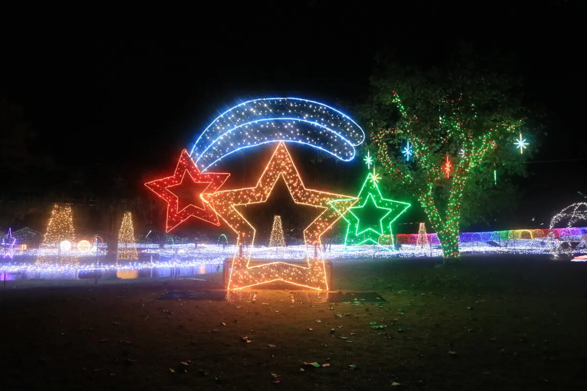 Winter Illumination2025 開催中です！国営アルプスあづみのの画像1