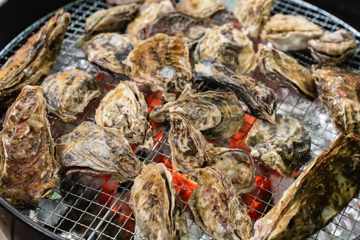 京田辺のアウトドア施設「京都-彩-」に冬の味覚、11月から牡蠣食べ放題と海鮮味噌鍋・京風すき焼き