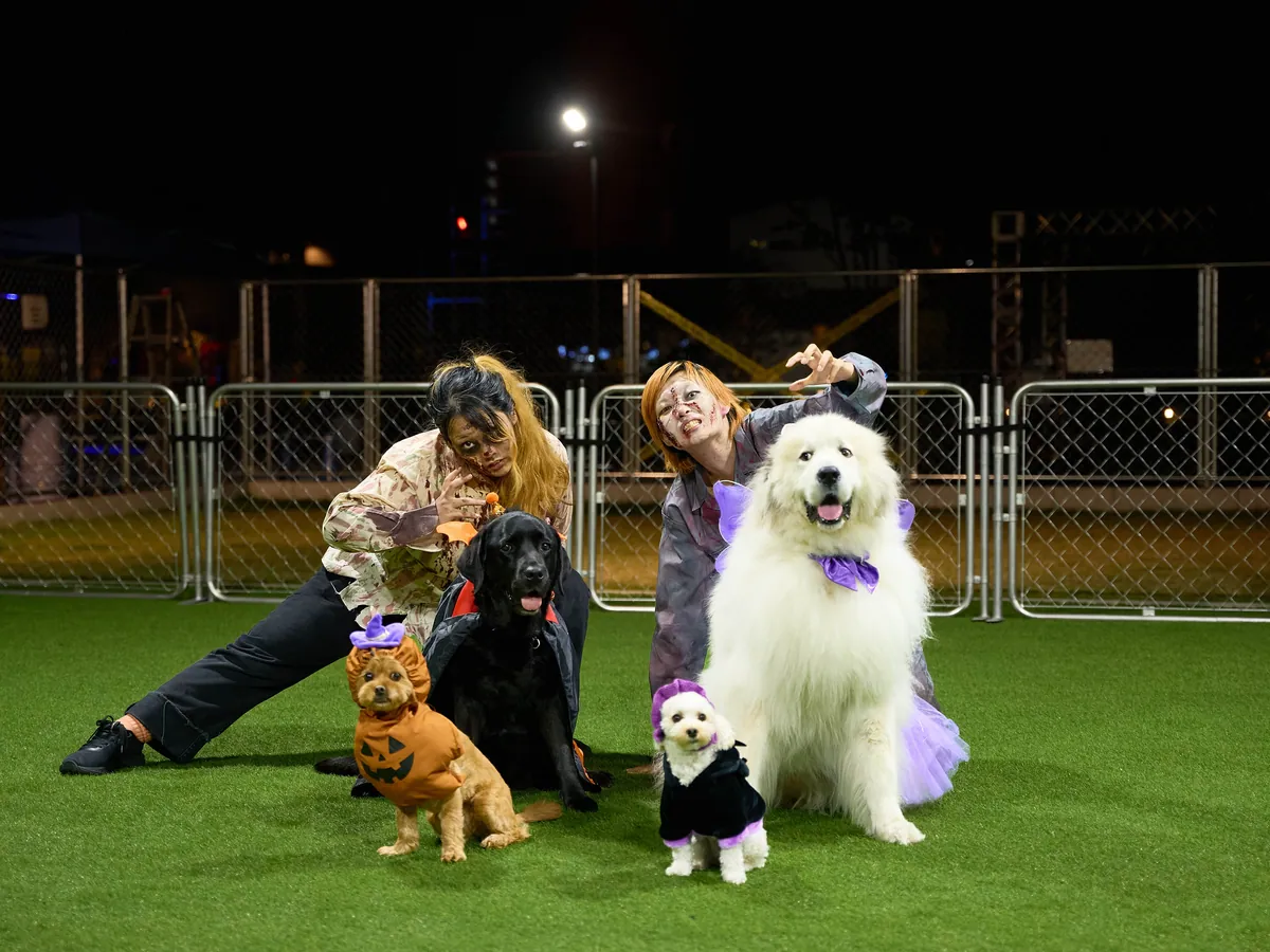 ハロウィンの仮装をした犬たちと、ゾンビメイクの2人が芝生の上でポーズをとる様子
