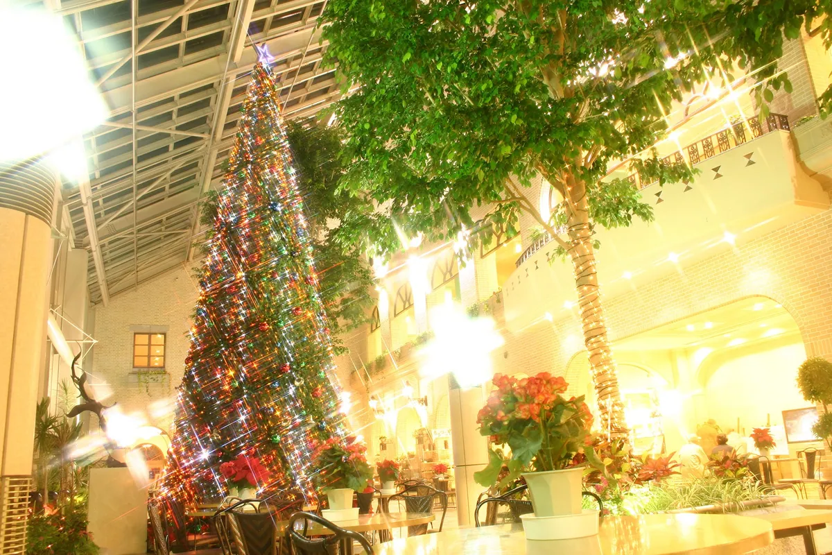 淡路島のクリスマスはひと足早く、淡路ハイウェイオアシスで高さ9mのツリーが10月28日に点灯
