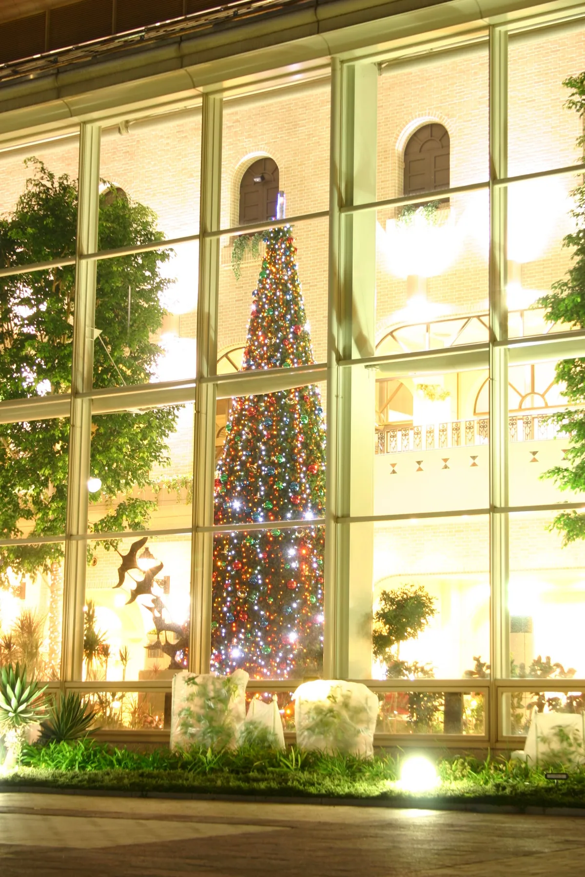 夜、オアシス館のガラス越しに見える、電飾で輝くクリスマスツリー