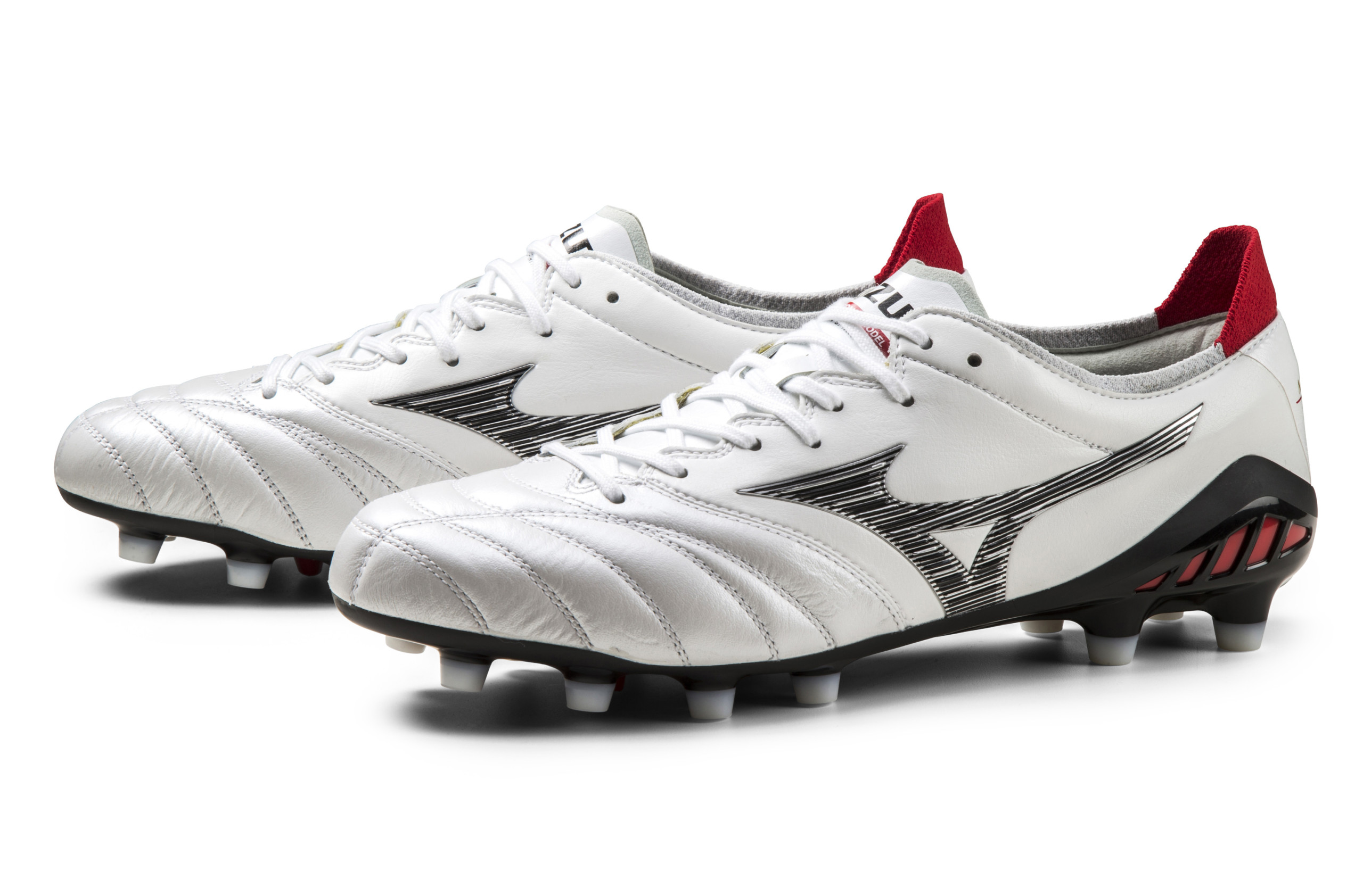 morelianeo3_01-scaled.jpg